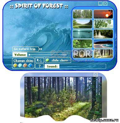 Spirit of Forest - релаксационная программа, которая создает атмосферу весеннего леса